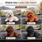 🐩 50% RABATT NU! Pudel-prydnad till bilen – realistisk resin, kompakt ställning & 4 färger – perfekt för instrumentbrädan och hundälskare 🐶✨