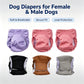 🐾 50% RABATT NU! Tvättbara hundblöjor 3-pack – mjuk bomull, justerbar passform & skydd vid löpning – perfekt för tikar och hanhundar inomhus ✨
