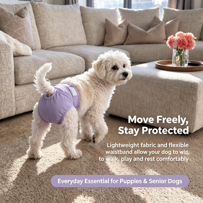 🐾 50% RABATT NU! Tvättbara hundblöjor 3-pack – mjuk bomull, justerbar passform & skydd vid löpning – perfekt för tikar och hanhundar inomhus ✨