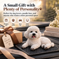 🐩 50% RABATT NU! Pudel-prydnad till bilen – realistisk resin, kompakt ställning & 4 färger – perfekt för instrumentbrädan och hundälskare 🐶✨