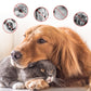 🐶💨 1+1 GRATIS! Antibakteriell spray för husdjur – eliminerar lukt & bakterier, tryggt för djuret