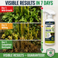 🌿 50% RABATT NU! ⚡ Rotdödande ogräsmedel för hemmabruk – 1 sprayning = 5 år ogräsfritt, jordvänligt & enkel applicering – perfekt för trädgård, uppfart och rabatter 🛑🌱