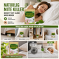 🌿 50% RABATT NU! Naturlig kvalsterkontroll Sachet – växtbaserat, långvarigt skydd & säkert för barn och husdjur – perfekt för garderober, sängkläder och soffor 🛏️✨