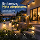 🌞🎁 KÖP 2 FÅ 1 GRATIS! 🔥 Vattentät solcellslampa med 3 LED – laddas av solen, lyser hela natten – perfekt för trädgård, altan och entré ✨