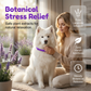 🐾🌿 50% RABATT! Lugnande halsband för hund – naturlig doft som lugnar & skyddar mot mygg och fästingar 🦟✨