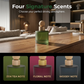 Car Perfume with Natural Wood Diffuser Ball