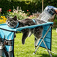 🐾 50% RABATT NU! Portabel 2‑i‑1 skötselbädd för hund och katt – stabil, andningsbar & avtagbar – perfekt för kloklippning, bad, torkning och daglig pälsvård 🛁✨
