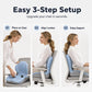 🪑 50% RABATT NU! ✨ Ergonomisk sittdyna i memory foam med ryggstöd – bekväm & stödjande för hem, kontor och bil 💺🛡️