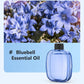 🏠 50 % Rabatt! 🌿 Automatisk doftspridning för ett fräschare hem – aromadiffuser som sprider behaglig doft utan ansträngning 🌸✨