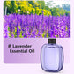 🏠 50 % Rabatt! 🌿 Automatisk doftspridning för ett fräschare hem – aromadiffuser som sprider behaglig doft utan ansträngning 🌸✨