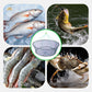 🎣 50% RABATT NU! Bärbart hopfällbart lyftnät för fiske – bred rund öppning, nylonnät & flera linor – perfekt för krabbfiske, räkfångst och betesinsamling 🦀✨