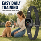 🐶 50% RABATT NU! 🐶 Smart anti-skallhalsband för hundar – stötfri träning, vibration & pip, smart filter & vattentät – perfekt för skonsam och effektiv hundträning 🐾✨