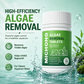 🐟 50% RABATT NU! 🌿 Fast-Acting Aquarium Algae Remover Tablets – effektiv algeliminering, långvarig hämning & säker för fisk – perfekt för rent och klart akvarievatten 🐠✨