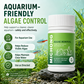 🐟 50% RABATT NU! 🌿 Fast-Acting Aquarium Algae Remover Tablets – effektiv algeliminering, långvarig hämning & säker för fisk – perfekt för rent och klart akvarievatten 🐠✨