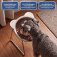 🐕 50% RABATT NU! 🥣 15° lutad upphöjd matskål för hund – naturlig ätposition, minskar uppstötningar & nacksmärta – perfekt för små raser och äldre hundar 🦴✨