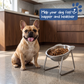 🐕 50% RABATT NU! 🥣 15° lutad upphöjd matskål för hund – naturlig ätposition, minskar uppstötningar & nacksmärta – perfekt för små raser och äldre hundar 🦴✨