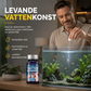 🐠💧 50% RABATT NU! 💧🐠 Professionella vattenreningstabletter för akvarium – stöder nyttiga bakterier, biologisk filtrering & enkel användning – perfekt för klarare vatten och hälsosamma fiskar 🌊✨