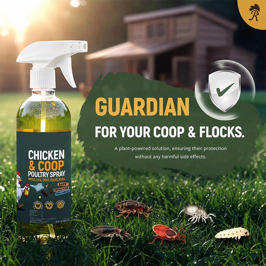 🐔 50% RABATT NU! Naturlig rengöringsspray för fjäderfähus – skonsam vård mot kvalster, löss & skadedjur – perfekt för höns, ankor och deras hus ✨