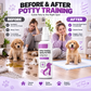 🐾 50% RABATT NU! 🐾 10 000+ sålda! Potty Training Spray – effektiv luktinföring, universell & säker – perfekt för valpar, katter och ett renare hem ✨