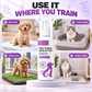 🐾 50% RABATT NU! 🐾 10 000+ sålda! Potty Training Spray – effektiv luktinföring, universell & säker – perfekt för valpar, katter och ett renare hem ✨