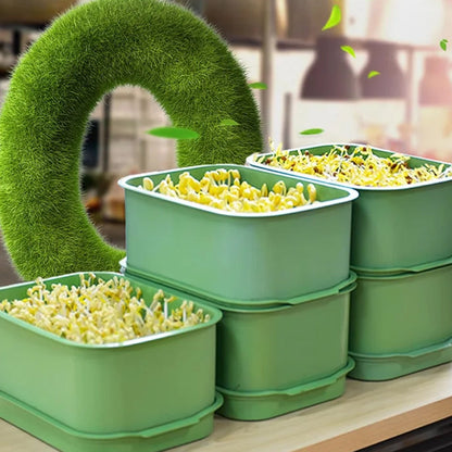🌱 50% RABATT NU! Stapelbar odlingslåda för böngroddar – flera lager, vatteninsamlade trådar & mögelfri tillväxt – perfekt för färska skott året runt ✨