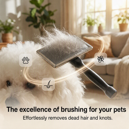 🐾 50% RABATT NU! ✨ Professionell slicker-borste för hund och katt – volym, skonsam underullsborttagning & ergonomiskt trähandtag – perfekt för pudlar, bichon frisé och alla pälsar 🐶🐱