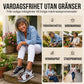 👡 50% RABATT NU! Casual strandtofflor med öppen tå och platå för dam – bekväma, snygga & perfekta för stranden, poolen och sommardagar ☀️🌊
